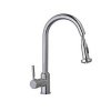 Kitchen Mixer Tap With pull out rinse spray